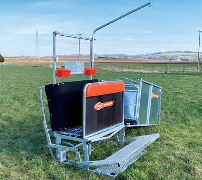 What You Should Know About Sheep Handling Equipment: A Practical Guide for Farmers
