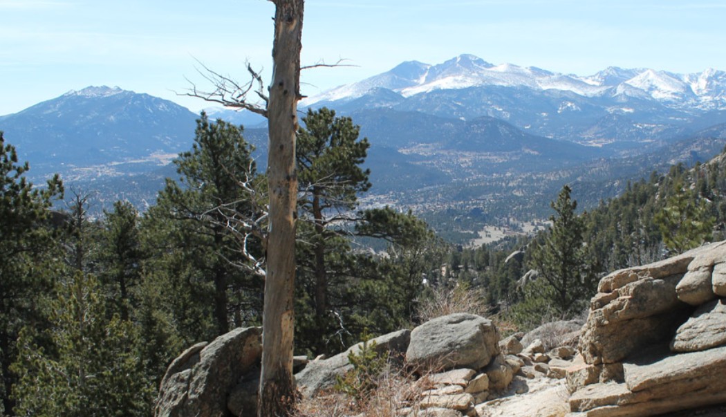 Should You Choose an Estes Park Lodge Rental or a Hotel Room for Your Next Escape?
