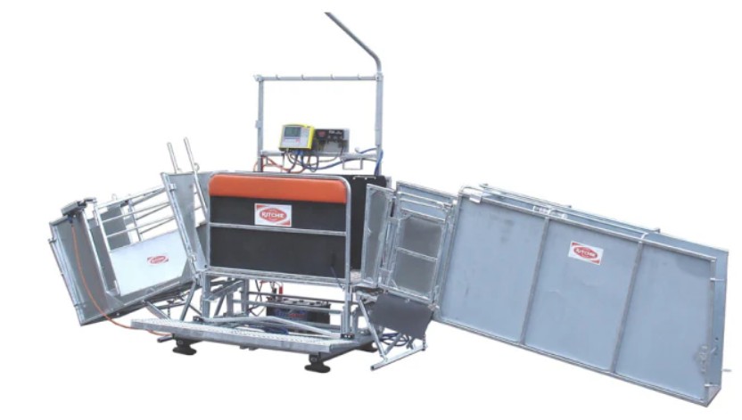 How Can Energy Efficient Waterers Transform Your Ranch? A Complete Buyer’s Guide How Can Energy Efficient Waterers Transform Your Ranch? A Complete Buyer’s Guide