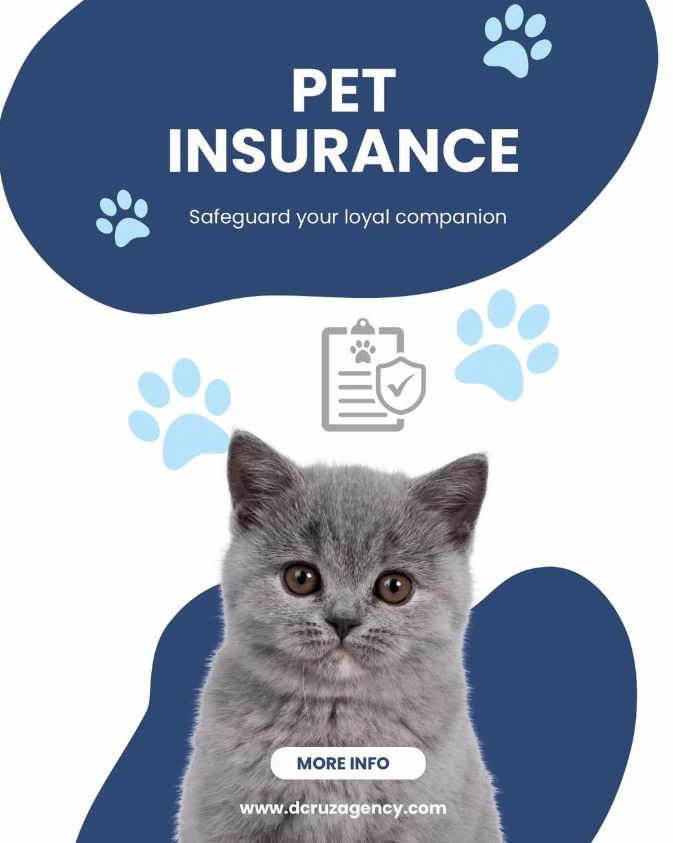 A Helpful Guide to Choosing Business and Home Insurance in Somerset NJ